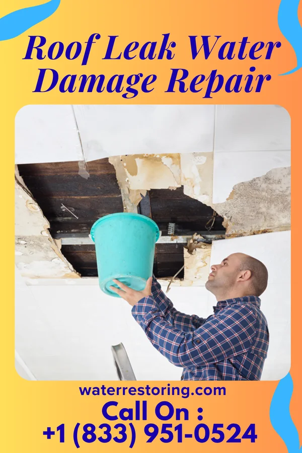 Roof Leak Water Damage Repair in Rockford, WA